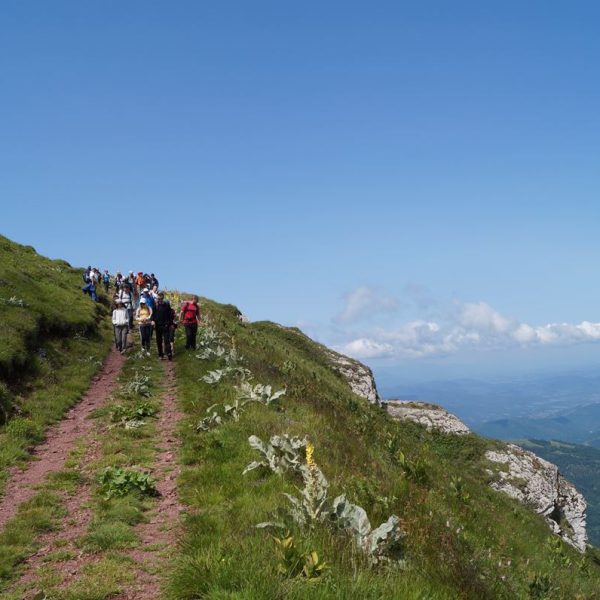 Image32