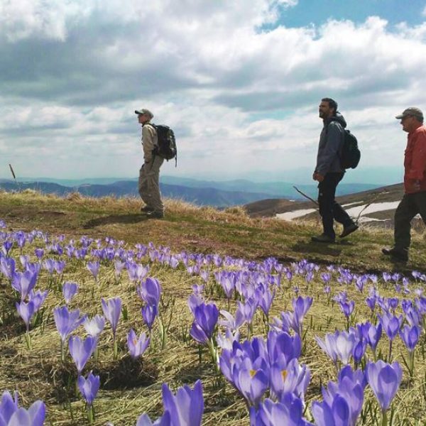 Midzor - Balkan mountains - 7