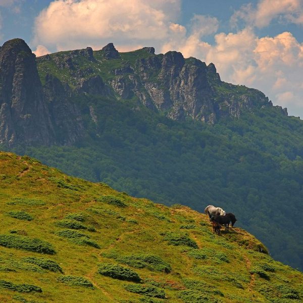 hiking-eastern-serbia-16