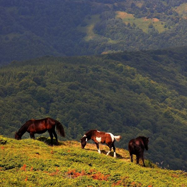 hiking-eastern-serbia-2