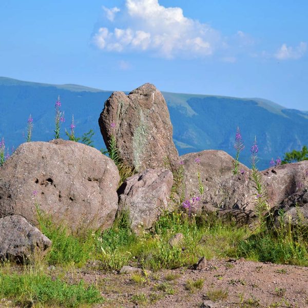 Hiking Stara planina